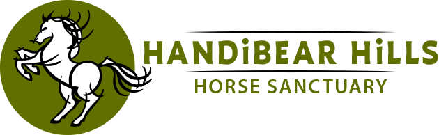 Handibear Hills Horse Sanctuary