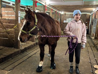 Prince in Soft-Ride boots